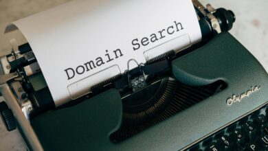 Domain ve hosting nedir analiz görseli