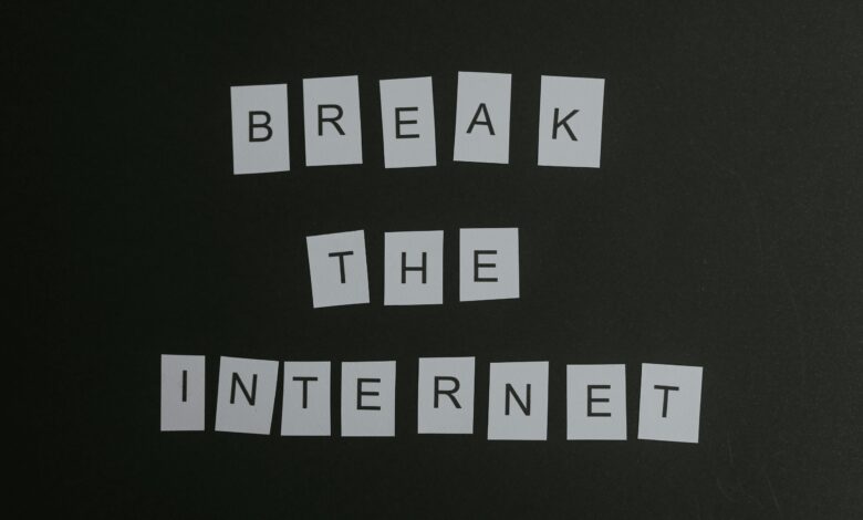 İnternet sitesi açmak için gerekenler hakkında detaylı grafik