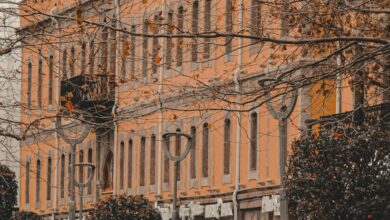 Merkez Bankası İşletme Sistemi: Temel Kavramlar ve İşleyiş ile ilgili görsel