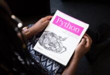 python öğrenmek ne kadar sürer? gerçekçi cevap analiz görseli