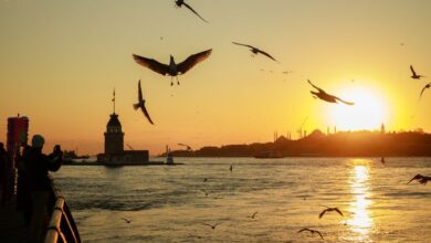 2026'nın en popüler tatil rotaları ile ilgili görsel