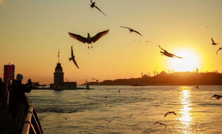 2026'nın en popüler tatil rotaları ile ilgili görsel