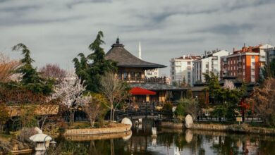 japonya seyahati planlayanlar i̇çin kapsamlı rehber ile ilgili görsel