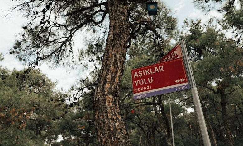 metabolizmayı hızlandırmanın 15 doğal yolu konusunu açıklayan görsel