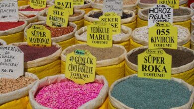 kıvırcık saç bakımı nasıl yapılır? konusunu açıklayan görsel