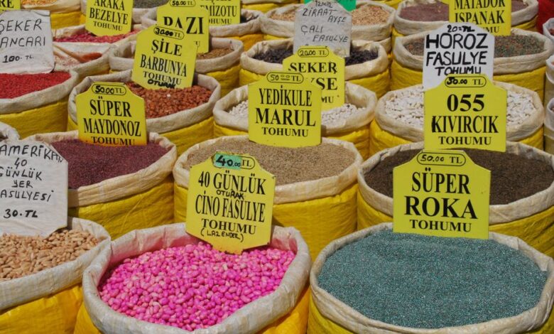 kıvırcık saç bakımı nasıl yapılır? konusunu açıklayan görsel